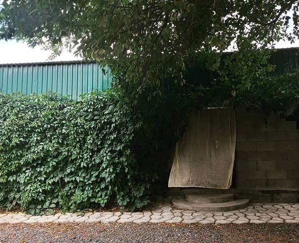 Гостевой дом Твой День