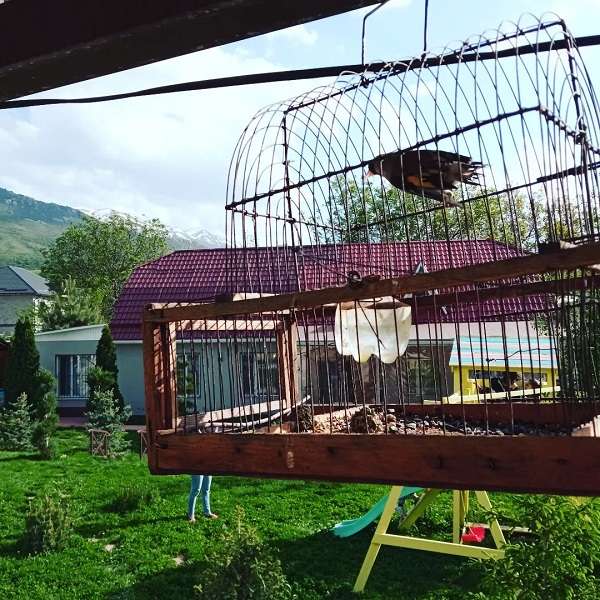 Дом отдыха Наша дача
