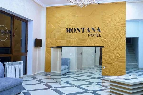 Гостиница Montana
