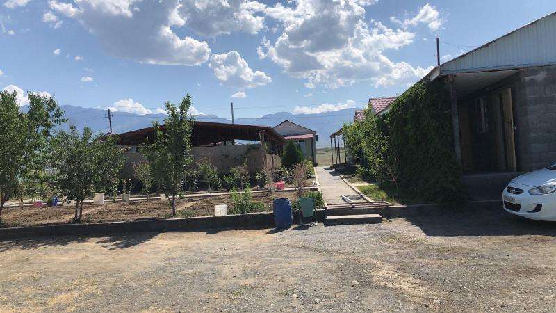 Дария Коктума