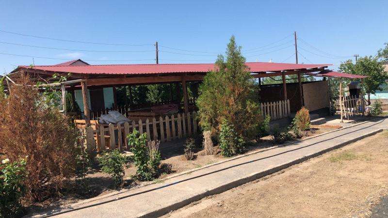 Дария Коктума