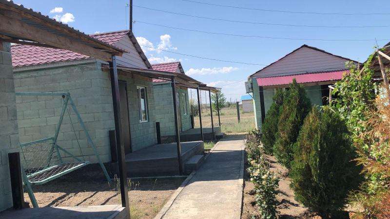 Дария Коктума