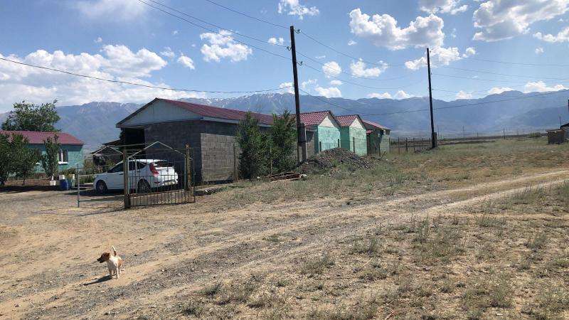 Дария Коктума