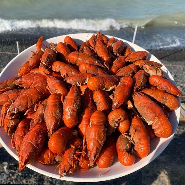 Зона отдыха Arasan Deluxe