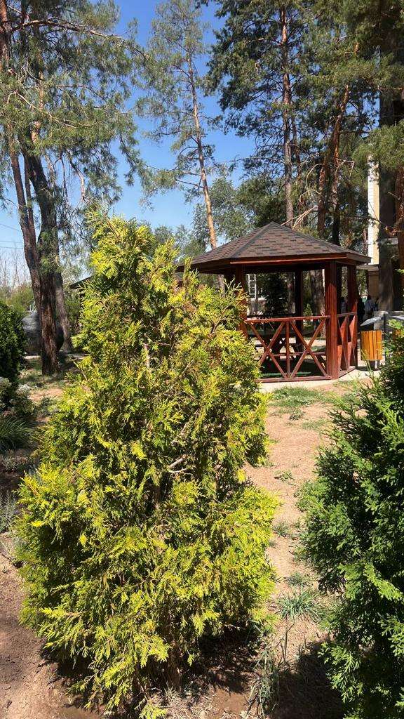 Санаторий Баксы (BAQSY)