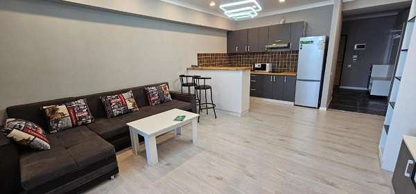 1 комнатная квартира Зеленый базар