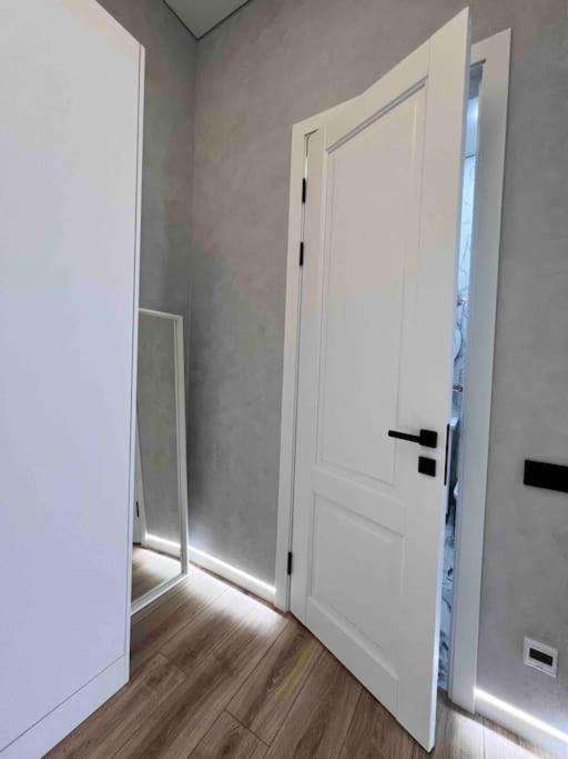 Двухкомнатная квартира на Достык