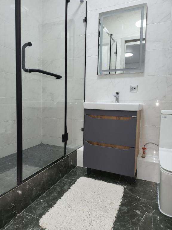 Однокомнатная квартира на Толе Би