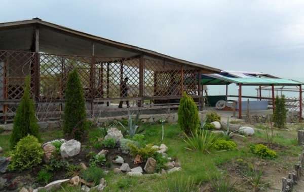 Зона отдыха Дархан Тропик