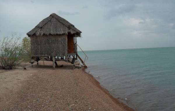 Зона отдыха Дархан Тропик