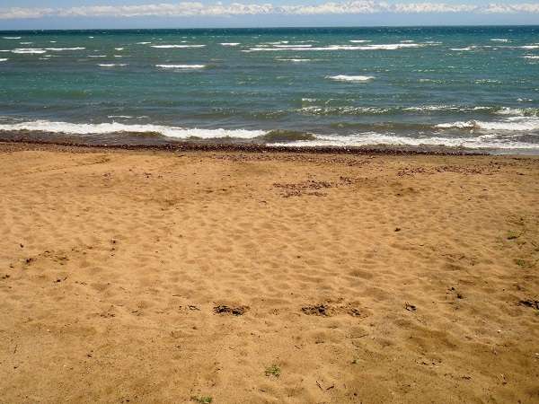 Детский лагерь Жемчужина