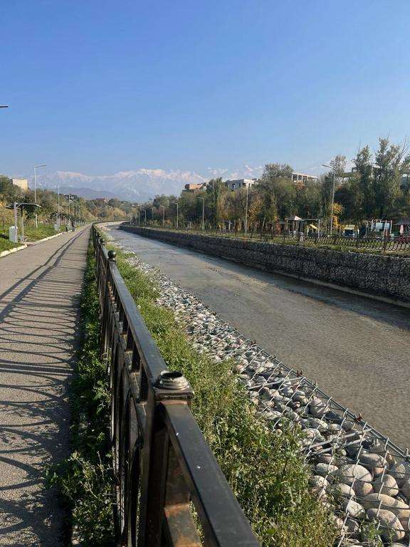 Квартира посуточно Аль-Фараби (однокомнатная)