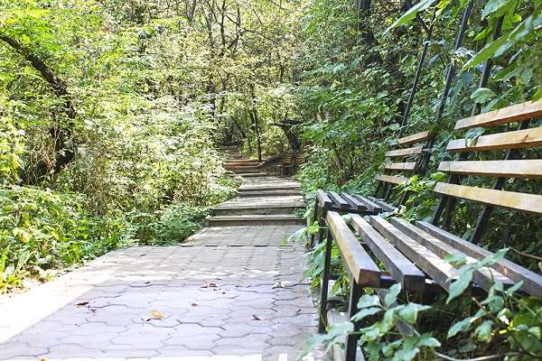 Санаторий Коктем