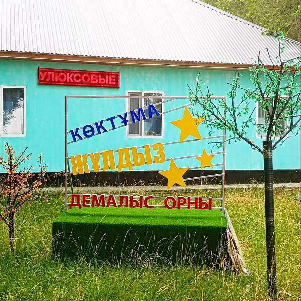 Жулдыз Коктума