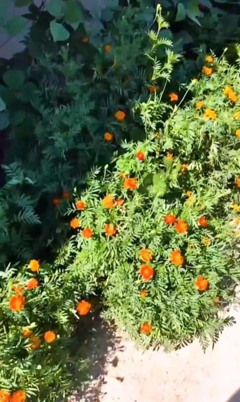 Пансионат Аэропорт