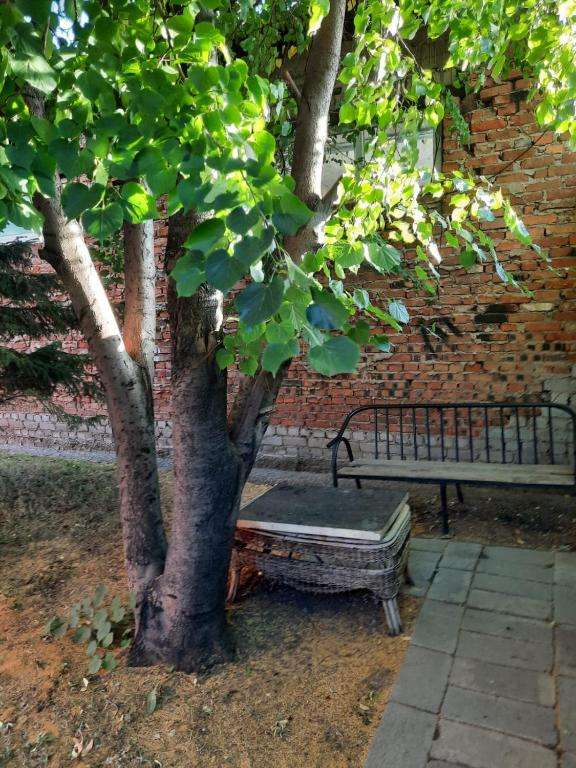 Хостел Ohana boutique