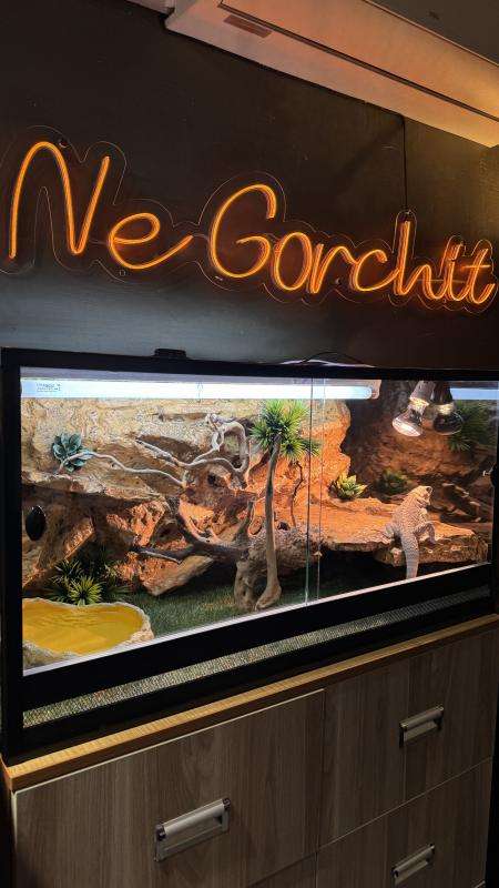 Ne Gorchit на Маркова 79