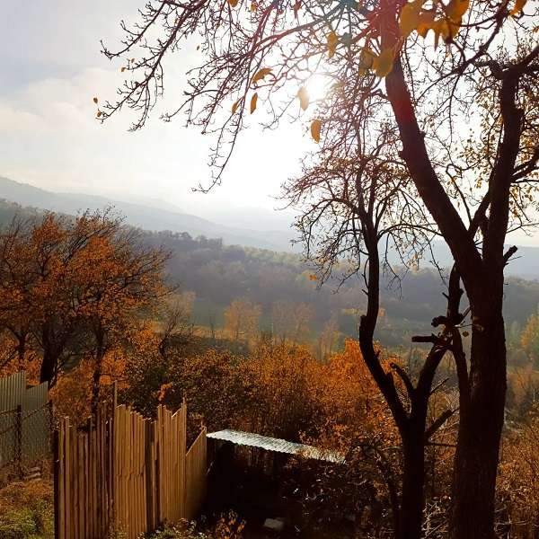 Волшебное Шале (домик на горе)