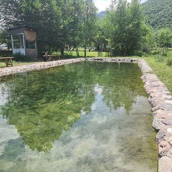 Юрты и домики Turgensai зона отдыха