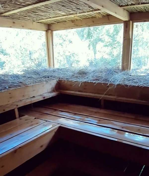 Юрты и домики Turgensai зона отдыха