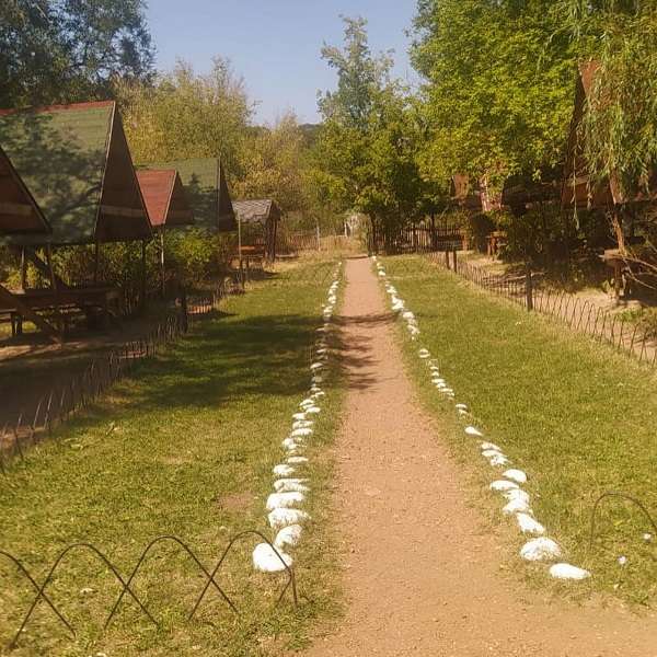 Тургеньское форелевое хозяйство Алтын Тау