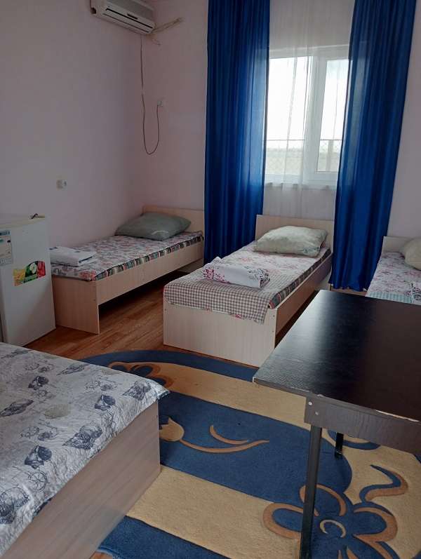 Абрикос Алаколь