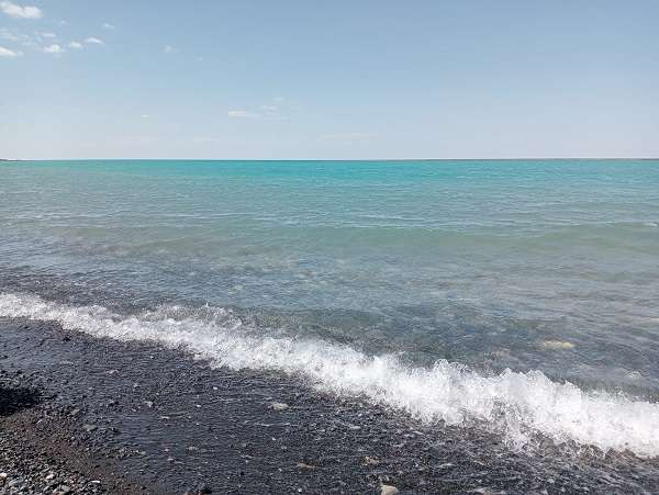 Абрикос Алаколь