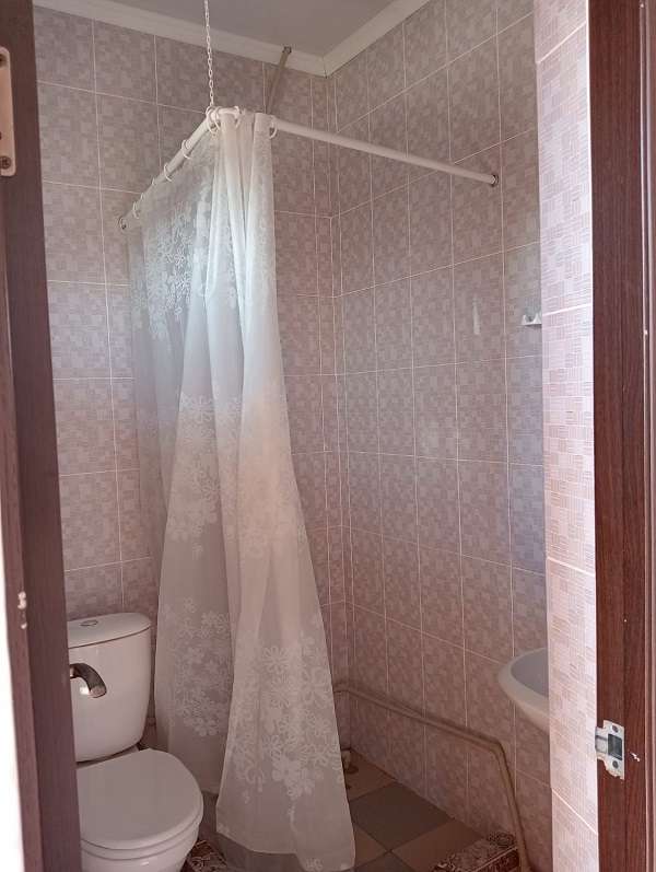 Абрикос Алаколь