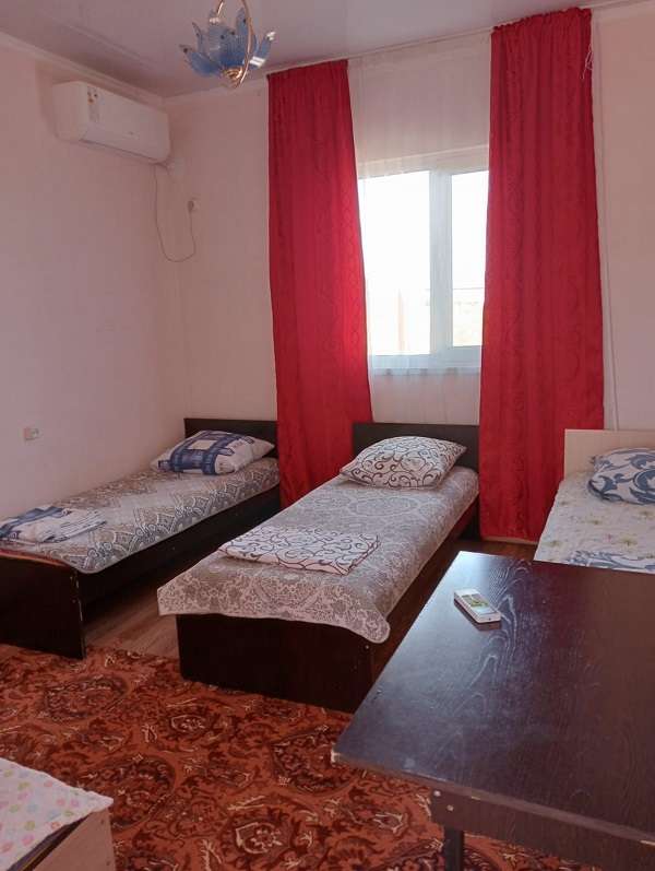 Абрикос Алаколь