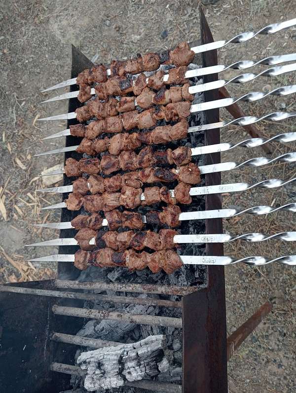 Абрикос Алаколь