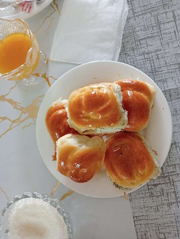 Абрикос Алаколь