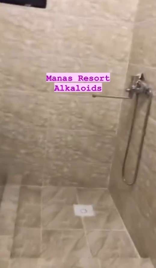 Manas Resort Алаколь (Халал)