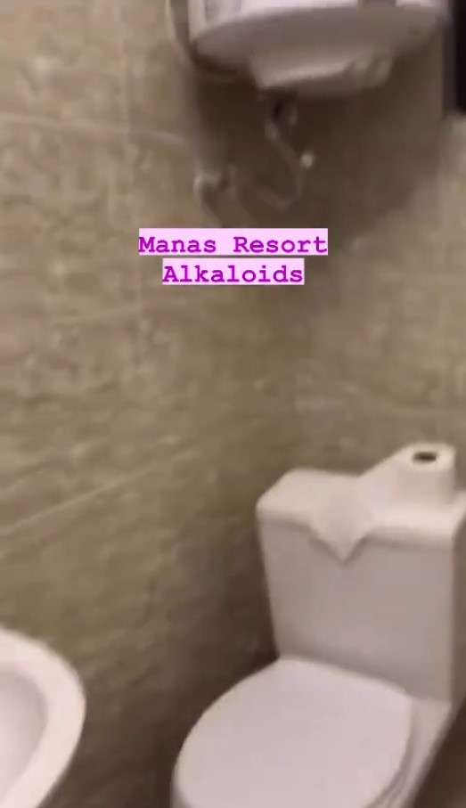 Manas Resort Алаколь (Халал)