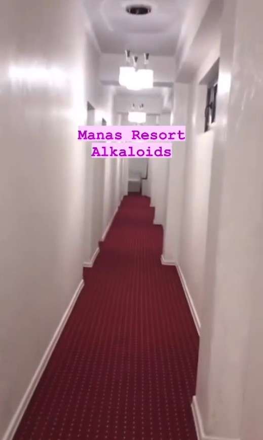 Manas Resort Алаколь (Халал)