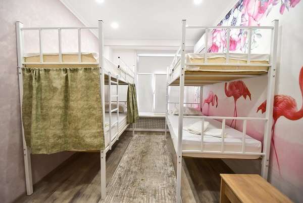 Отель и хостел SAFIA