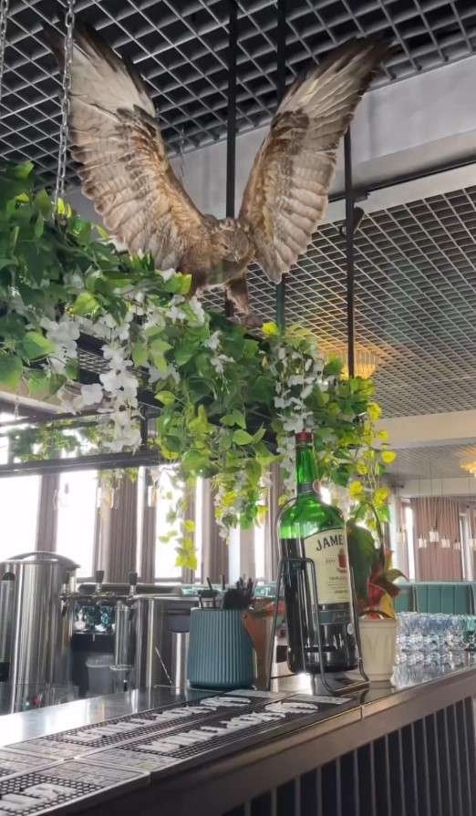 Кафе Alatau Resort с бассейном