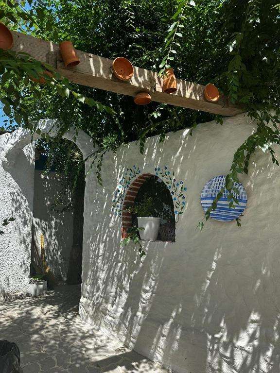 База отдыха, Кафе Olivka Club
