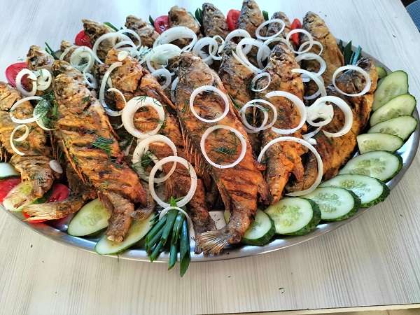 Недорогая Зона отдыха Happy Holiday