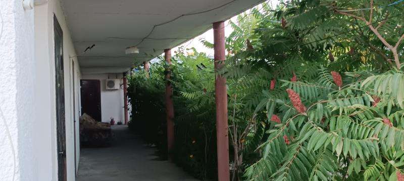 База отдыха Alika Alakol