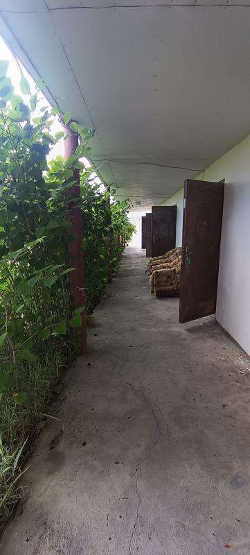 База отдыха Alika Alakol