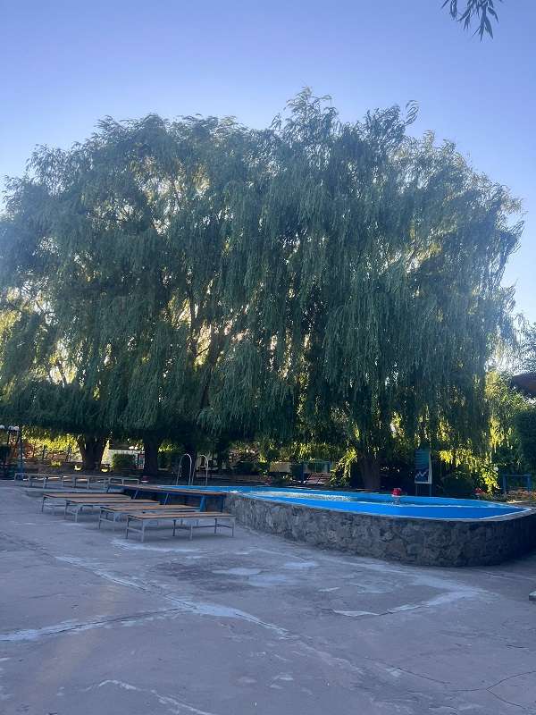 Зона отдыха Оазис