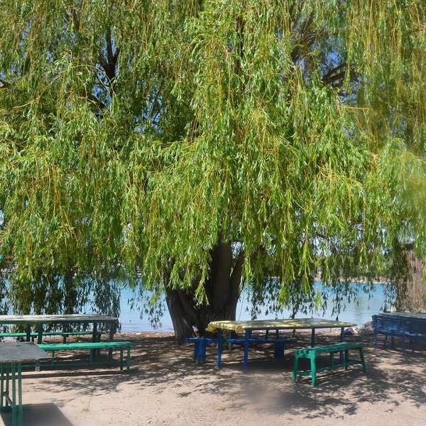 Пляж Айна Су (бывшая Ак Отау) аренда теплохода