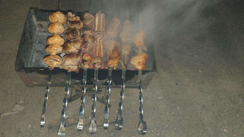 Медведь зона отдыха на Капчагае