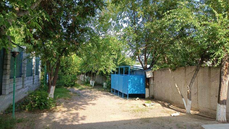 Медведь зона отдыха на Капчагае