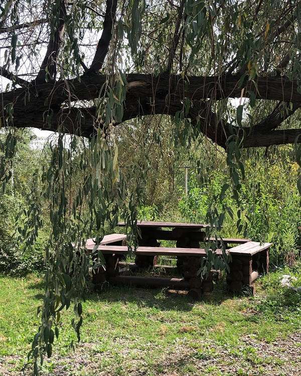 По дороге на Капчагай База отдыха Поляна