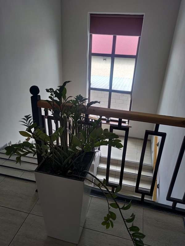 Отель Four Seasons (4 сезона)