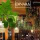 Кафе Динара