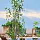 KAMISHY Eco Resort закрыто