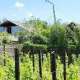 Дача Nada vineyard