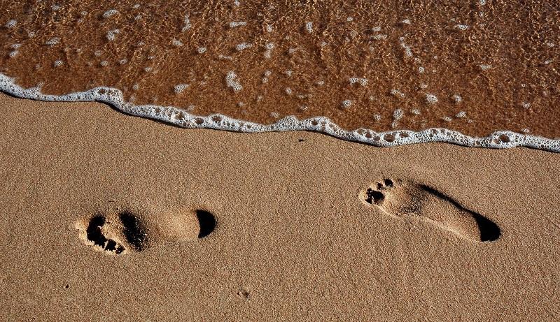 База отдыха Ольга не работают в этом году